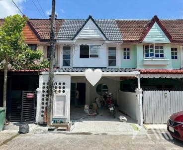 หมู่บ้านเนตรทิพย์ / ดาวรุ่ง