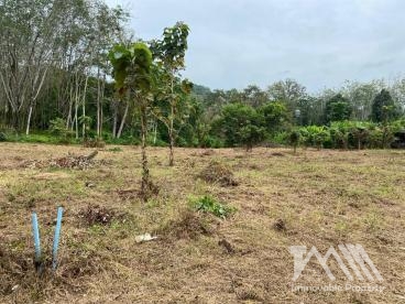 ที่ดินเปล่า ป่าคลอก