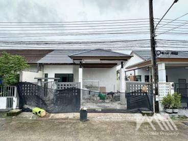 ศรีสุชาติ 5 สามกอง / Srisuchart 5