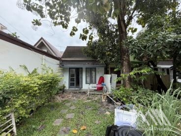 ศรีสุชาติ สามกอง / Srisuchart